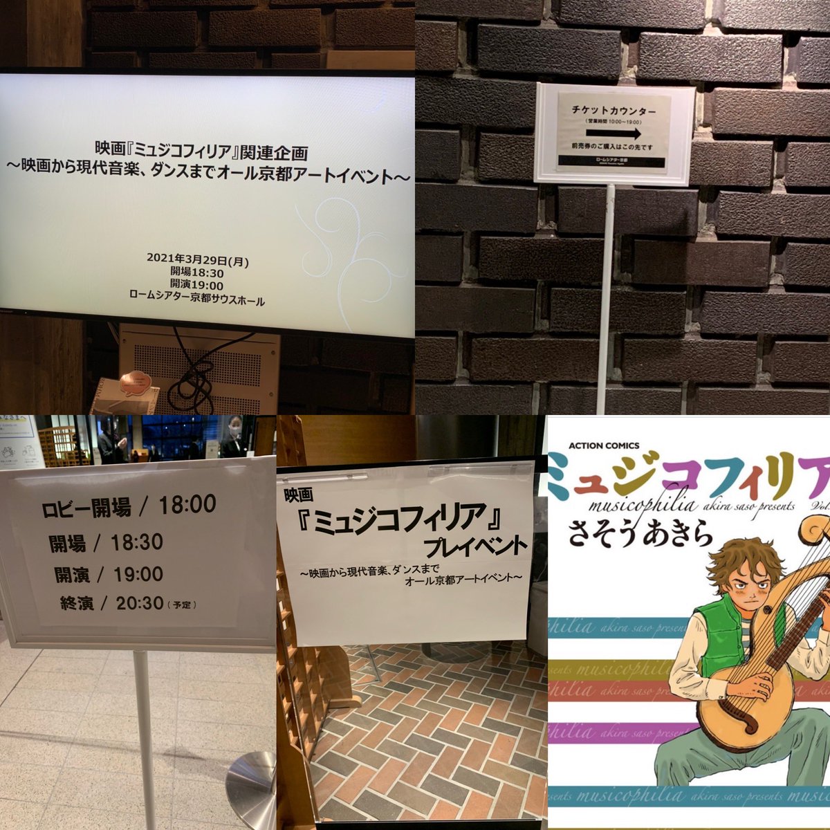ミュジコフィリア ミュジコフィリア