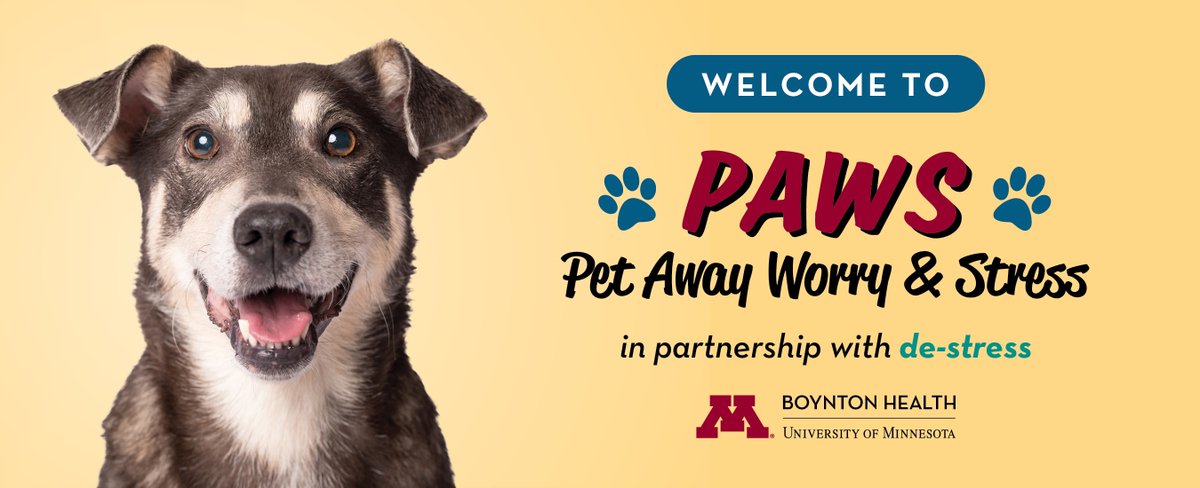 TherapyChicken's tweet photo. PAWS is TODAY!!! Come hang with us over lunch, noon-1:00. Register at https://t.co/LpNmy92n59 #umnpaws #umnproud https://t.co/RlYqTHbQT7
