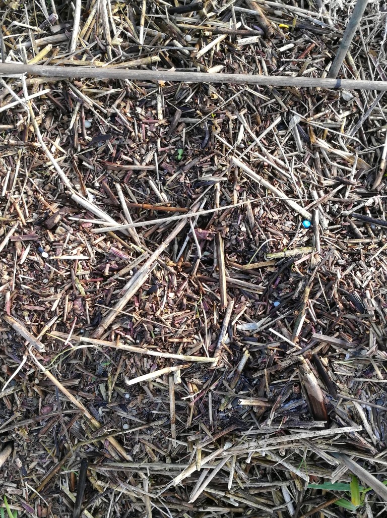 deSteltkluut's tweet photo. Ineos trekt vergunning in voor nieuwe #plastic fabrieken ter waarde van €3mld in haven van Antwerpen. Dit project gaat in tegen klimaatdoelen EU en noodzaak tot verminderen van wegwerpplastic. De toekomst verdient herziening #nurdle productie. https://t.co/kQiLjWrlZz https://t.co/svQZALkmQ6