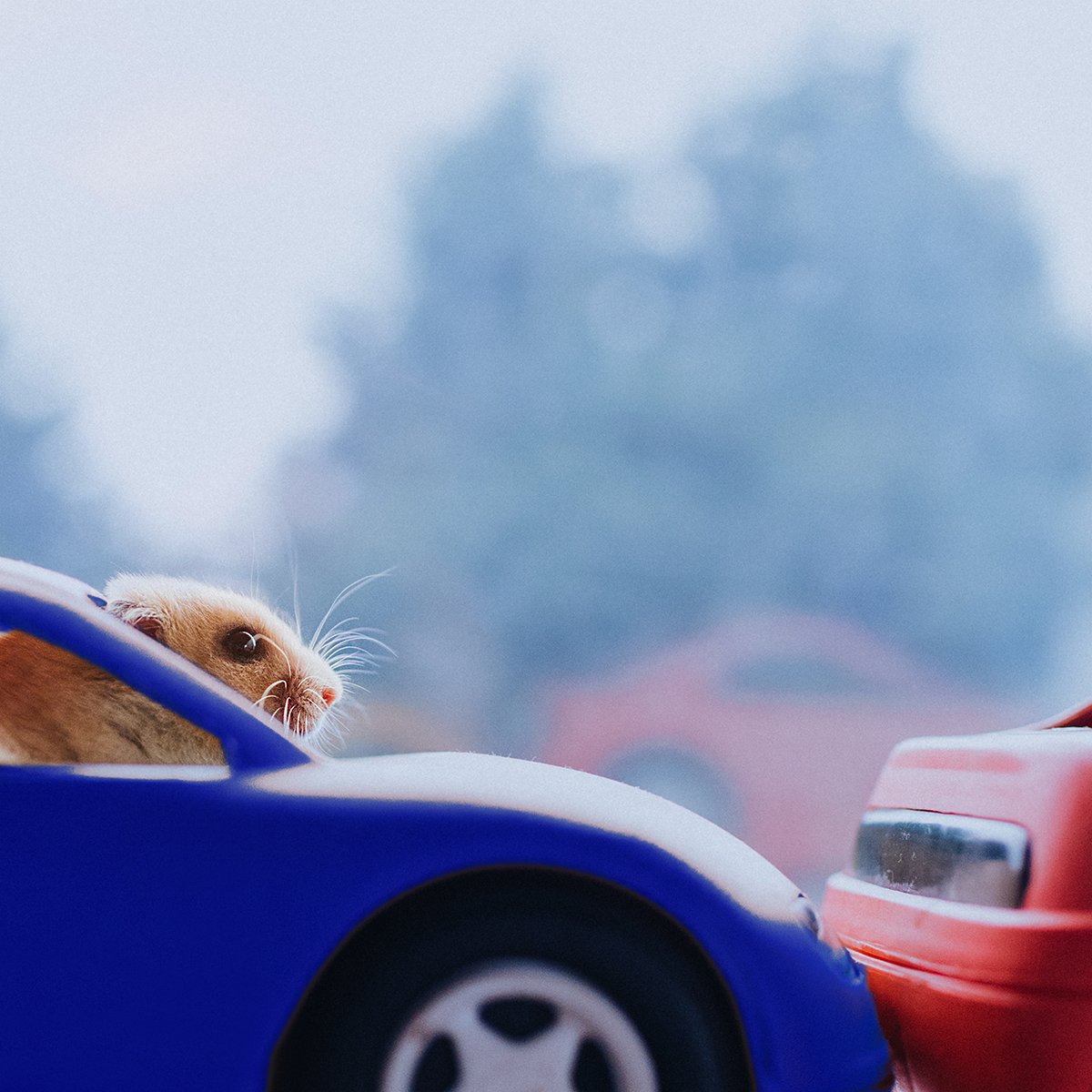 Uninsured motorist wasn't always an available coverage option. In 1957, Farmers® co-founder Thomas Leavey had the idea to offer uninsured motorist liability coverage for those struck by an uninsured driver. Call me to double-check your automobile coverage.