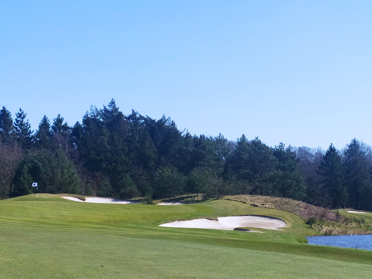 martijn paehlig tweet media