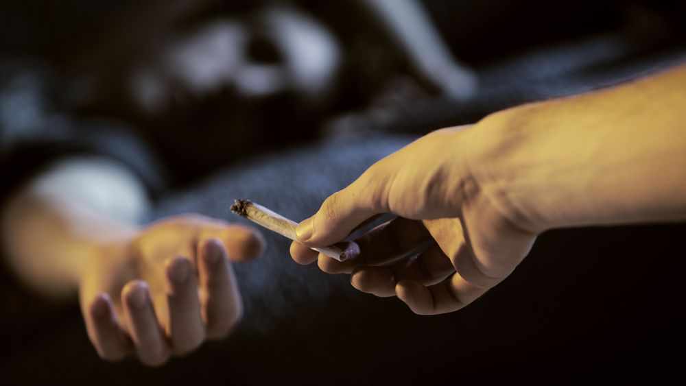 Southeast PTTC tweet media