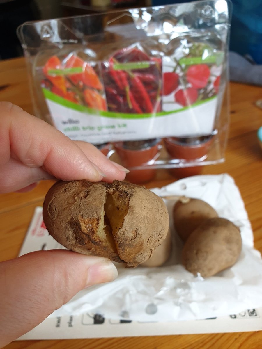 EditingUK's tweet photo. I received my @LoveWilko order today and it was smashed to bits. A growbox &amp; seed potatoes crushed beyond saving. I'm amazed as you packed a plastic pot in tons of bubble wrap but lumped heavy boxes of fertiliser in with fragile items with no protection. #shitshow @Hermesparcels https://t.co/kfKgXxcWzc