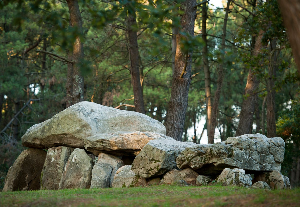 baiecamp's tweet photo. Et vous connaissez vous la différence entre menhirs, dolmens, cairns et tumulus ? 😁
https://t.co/nzrxm2jjh8...
© Emmanuel Berthier © L'oeil de Paco
#megalithes #carnac #menhir https://t.co/MarybQ6fqQ
