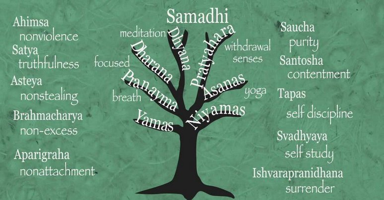 MarkThomasWeb's tweet photo. The Eight Limbs of Yoga - #yoga - https://t.co/OA1WjTA7l3 https://t.co/AOiDpO9cqX