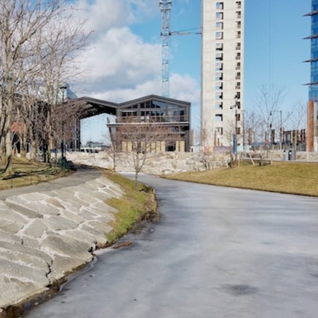 dc denison tweet media