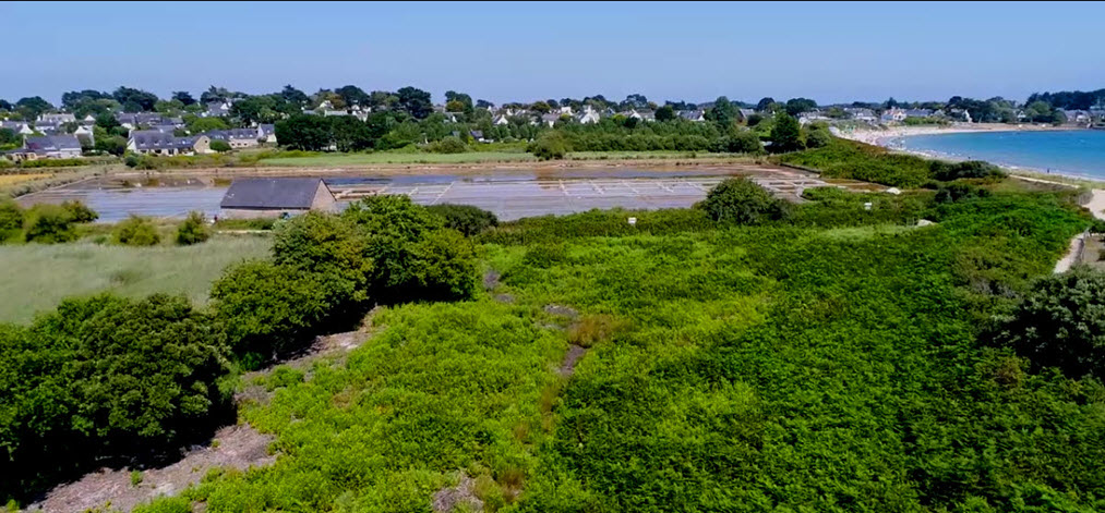 baiecamp's tweet photo. Situé à deux pas du camping, au bord du sentier côtier, les marais salants de Kervillen sont un espace naturel protégé, ouvert au public 👍
https://t.co/UgcaKzv3aY https://t.co/4tMP9gMAWi