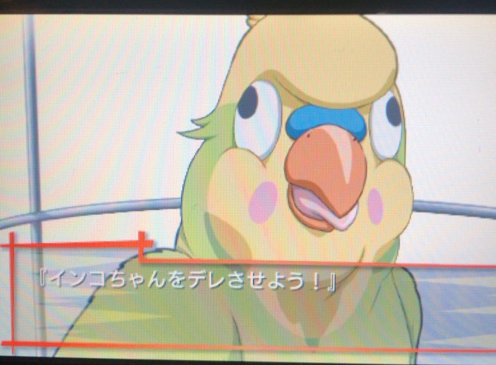 お望月さん ゆりちゃん先生 インコ相手に人生相談するようになったらおしまいだぞ