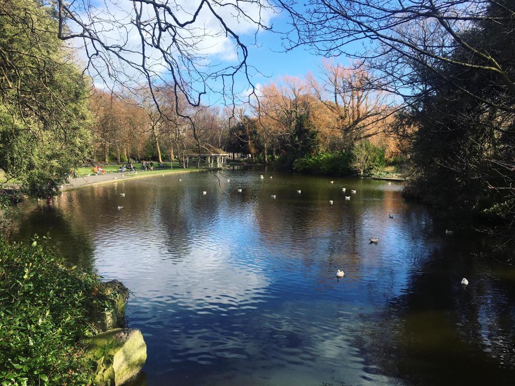 BrooksHotel's tweet photo. With #Spring comes new life, colour and hope!
We are lucky to have St Stephen’s Green a few minutes walk from the hotel.
#Spring2021 #Springtime #DublinCity #SpringinDublin https://t.co/qKt8fvdWpk