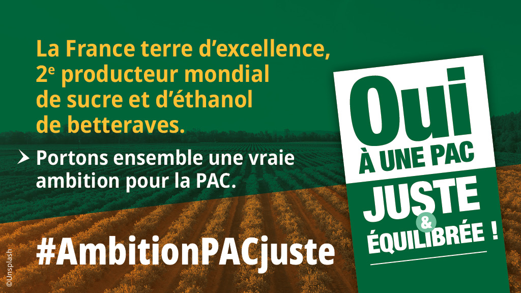 CGB_FR's tweet photo. #AmbitionPACjuste la France 🇫🇷 terre d'excellence est en péril avec les premières propositions sur le #PSN #PAC les risques de décrochage et d'exclusion des producteurs de grandes cultures sont énormes https://t.co/jtlNUBXeDg