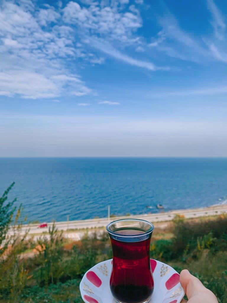 ambercay28's tweet photo. Amberçay Fabrikamızın Deniz Ve Doğa Manzarasında En Kaliteli Çaylarımız İle Çay Keyfi Paha Biçilmez.

https://t.co/Sums9mk3KF sitemizi ziyaret edebilirsiniz. Link profilimizde yer alıyor.👆

#çay #giresun #eynesil #tea #karadeniz #oteller #mekanlar https://t.co/68rR7J8NLJ