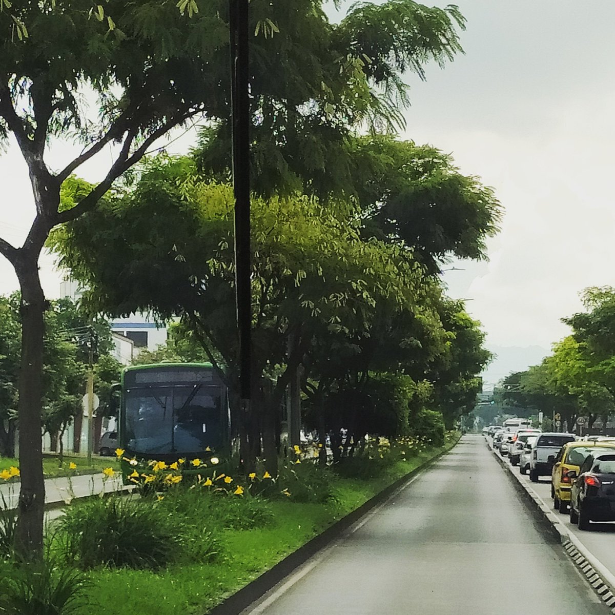 Integra_S_A's tweet photo. "El éxito en la vida consiste en seguir siempre adelante 💪🏼". Queremos desearte un feliz inicio de semana 😊 y recordarte que entre todos nos cuidamos 😷. #FelizSemana #Transporte #Pereira #Dosquebradas https://t.co/4JAAUkgUqK
