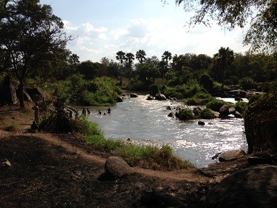 InAfrica's tweet photo. Epilepsy can also be caused by river blindness (onchocerciasis), affecting 15.5 million people, mainly in sub-Saharan Africa. Synergies between respective interventions &amp; integrated diseases management to strengthen their effectiveness: https://t.co/ZEsigdckaZ
#epilepsyinSSA https://t.co/GcoVrhRFOC