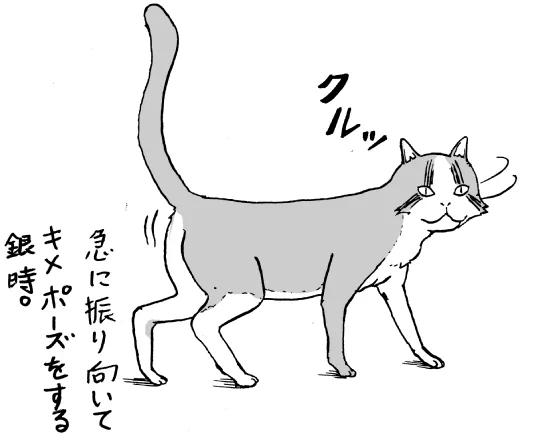 急に振り向いてキメポーズをする猫を描きました。#ZEROの猫イラスト#猫好きさんと繋がりたい #猫漫画 