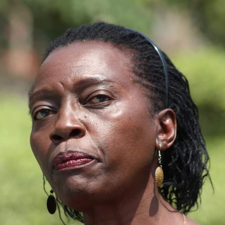The lockdown may provide #Covid19Millionaires​ another opportunity to steal - Martha Karua.