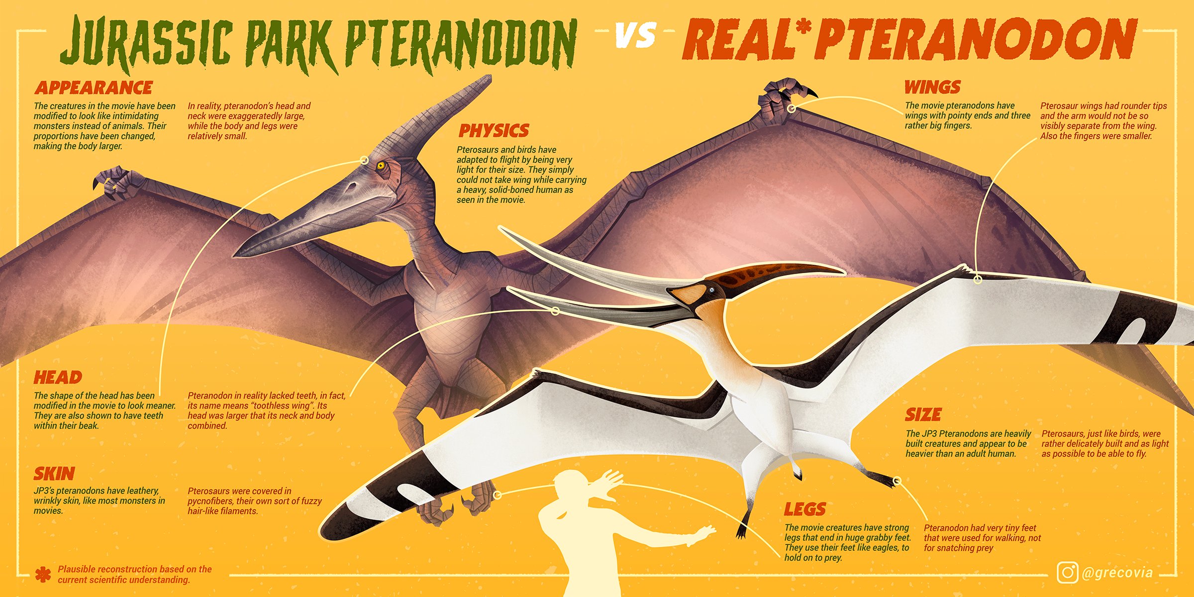 Versus!: Pteranodon vs. Eagle