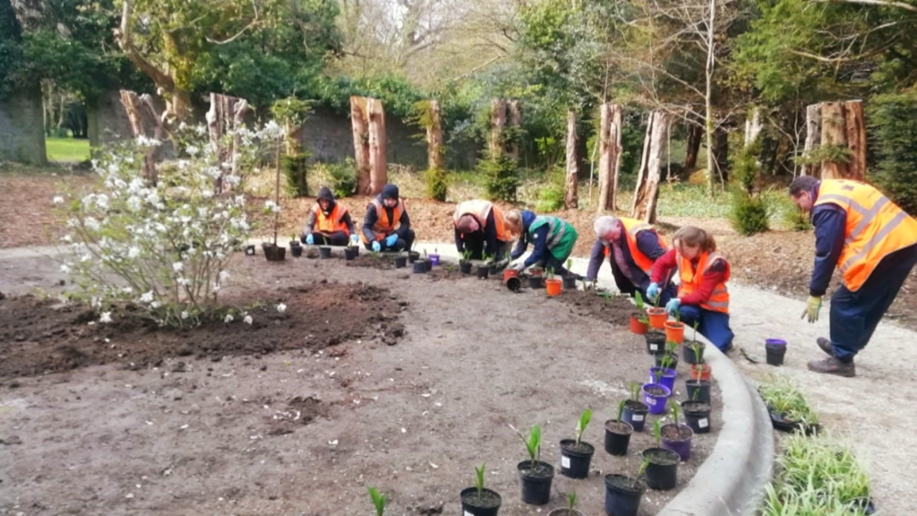 Saint Annes Park in Dublin is the second largest park in the city & is run today by @DubCityCouncil - it's home to many community groups and organisations who utilise this park - See #RTENationwide Monday 29th March @RTEOne 7pm & RTE+1 78pm @rte @LovinDublin  @volunteerireland RT