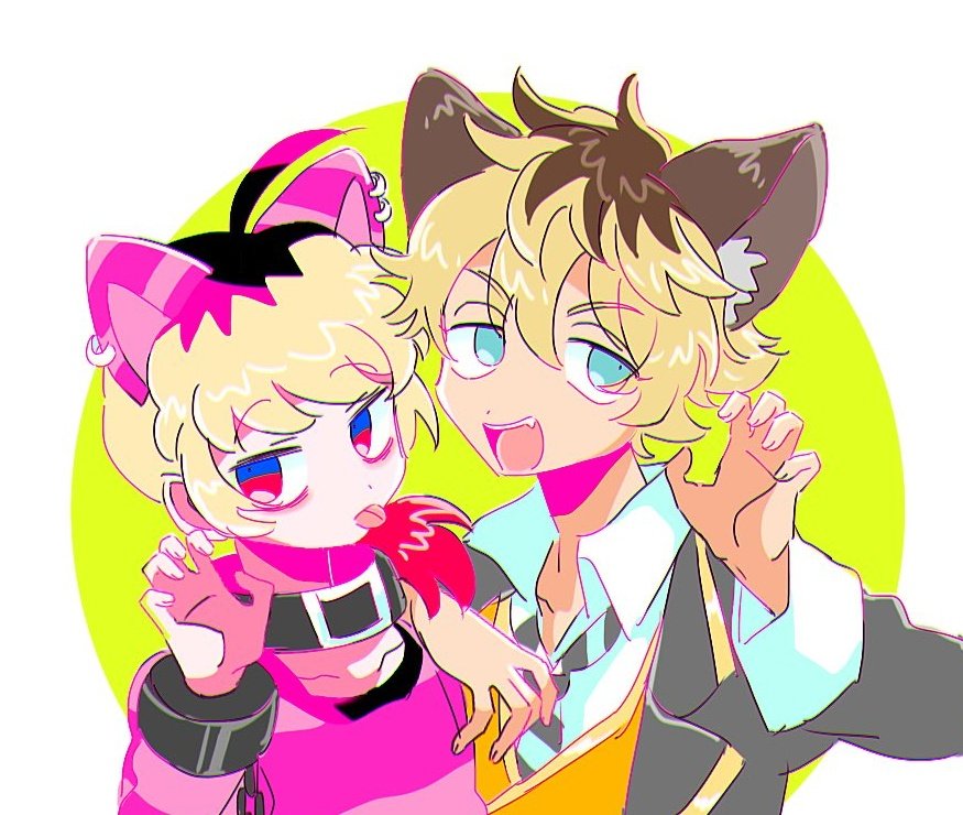 Twoucan にゃおぴ Nyaodayo