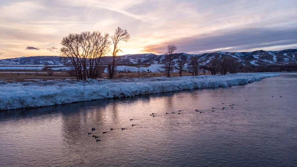 Alexmaiernature's tweet photo. Ducks on the Yellowstone. 

#wildlife #animal #wildlifephotography #yourshotphotographer #wildlife_vision #animalelite #dronephotography #dji #birdseyeview #aerialphotography #dronelife #droneshots #droneworld #dronenature https://t.co/uMhdzhEeU2