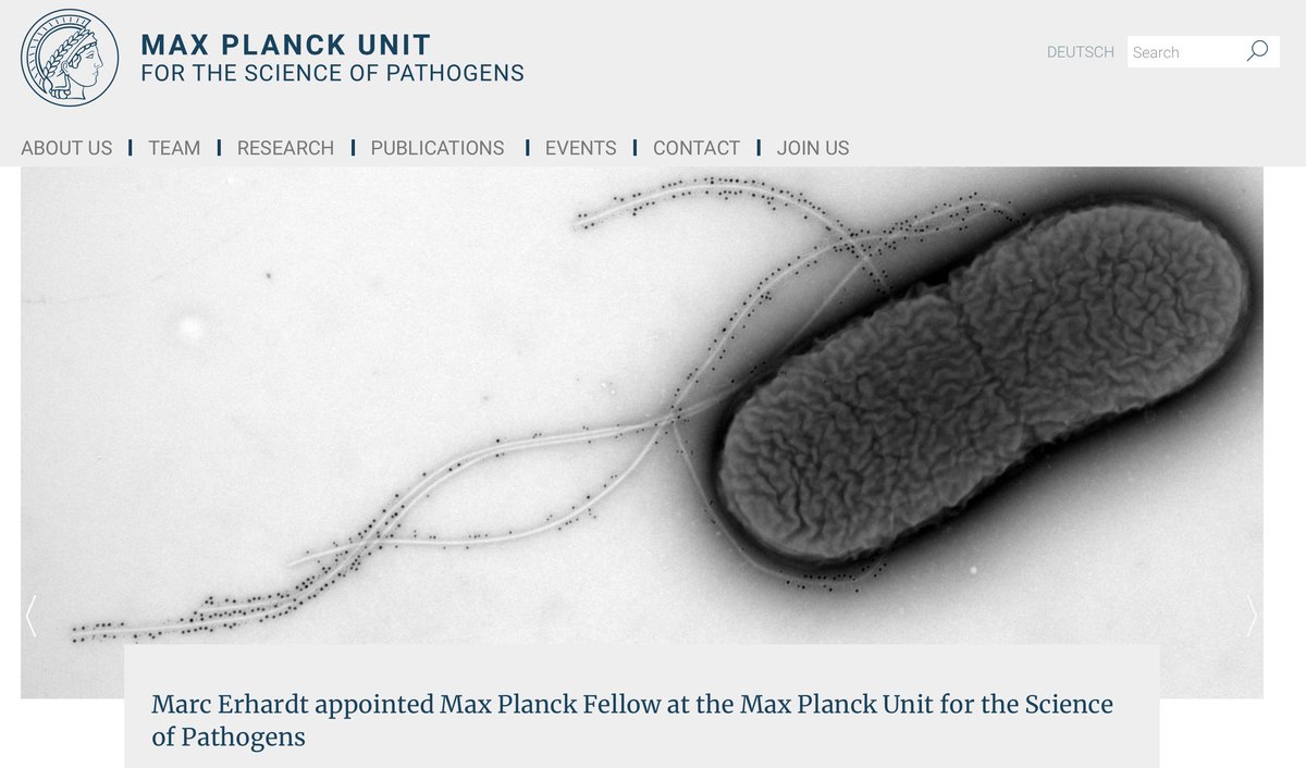 Marc Erhardt tweet media