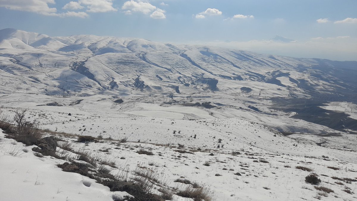 MarkofDartmoor's tweet photo. Working with the brilliant #FWPC in Armenia who are rescuing brutalised Syrian brown #bears and offering them a better life in their mountainous Caucuses Wildlife Refuge.
#BBC https://t.co/EZNeItxE0G