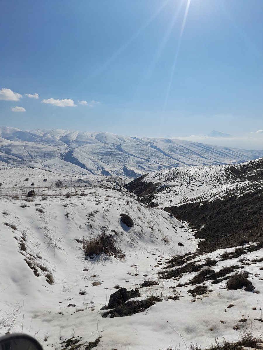 MarkofDartmoor's tweet photo. Working with the brilliant #FWPC in Armenia who are rescuing brutalised Syrian brown #bears and offering them a better life in their mountainous Caucuses Wildlife Refuge.
#BBC https://t.co/EZNeItxE0G