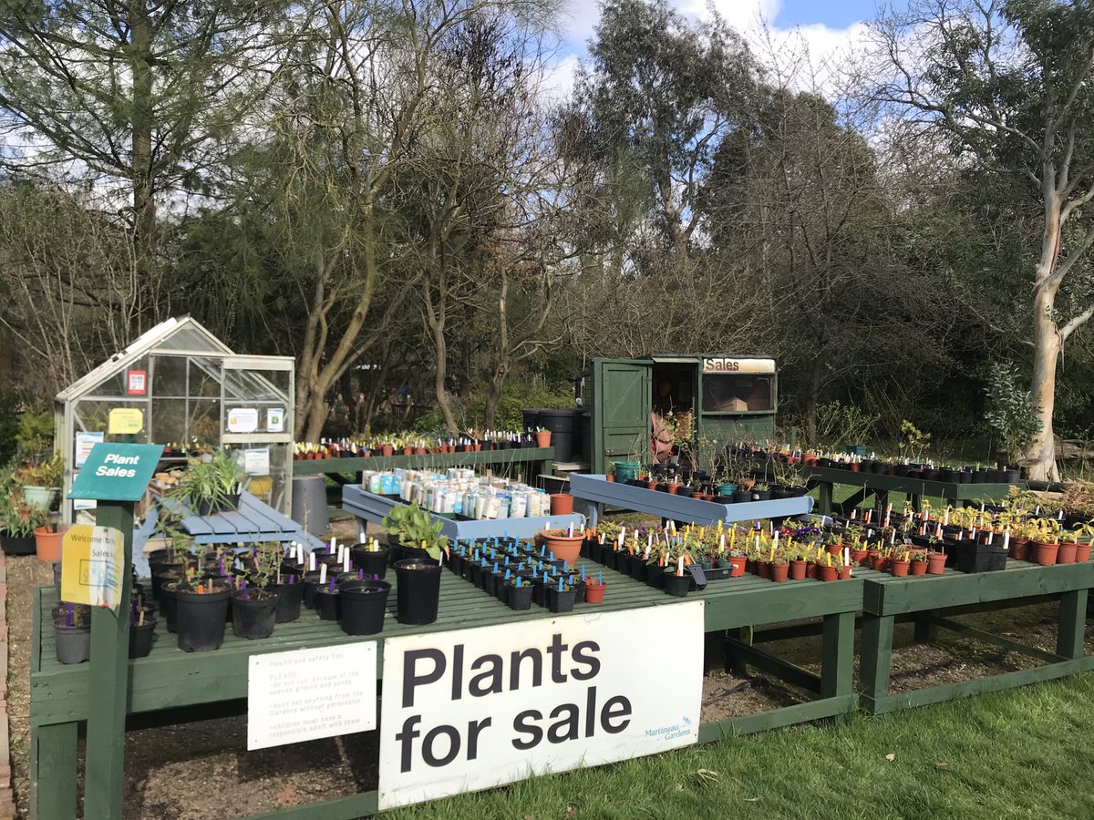martineau27's tweet photo. We’re open for visits again - Mondays to Friday 10am -4pm. Been lovely to see new faces and old, catching the sunshine at Martineau Gardens today https://t.co/UseRrWfaND