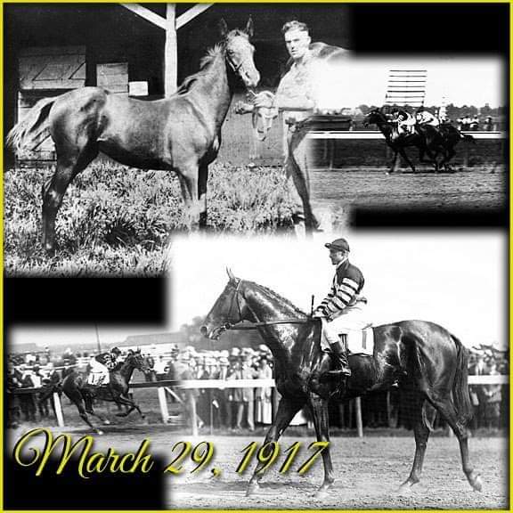 19Equus's tweet image. #ManOWar