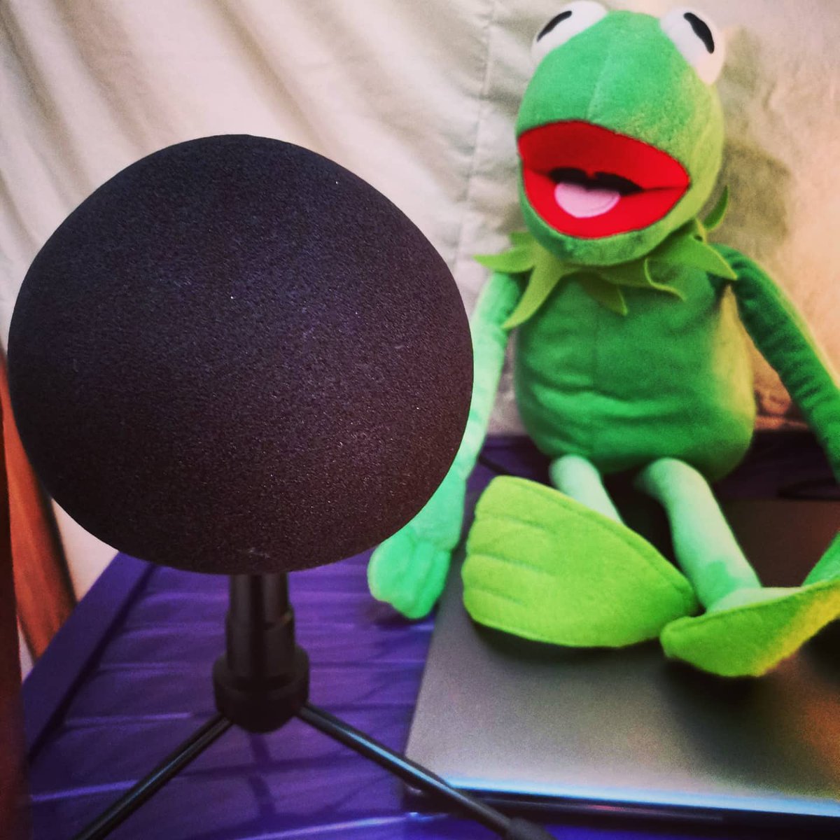 jcarmi91's tweet photo. Working in the recording booth is like hiding inside a fort I built out of bedding. Makes a good hiding place for Kermit and me! #voiceoverartist #actor #workday #muppetfan #recording #buildingafort https://t.co/4uID5MCfTK