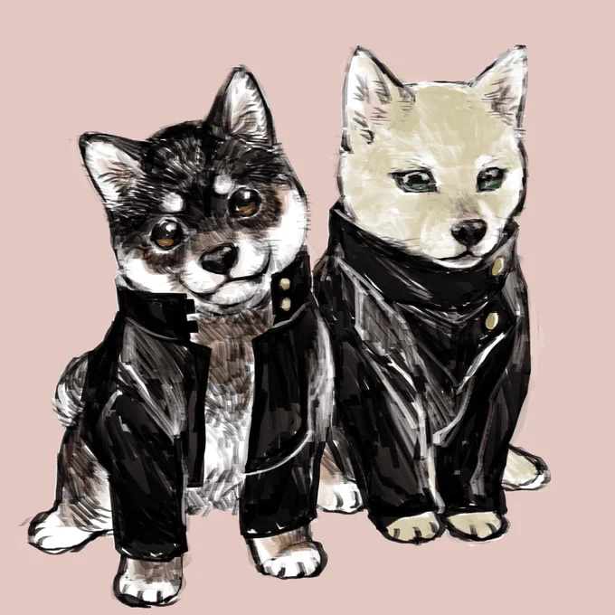 今年の新入生犬らしいよ(?) 