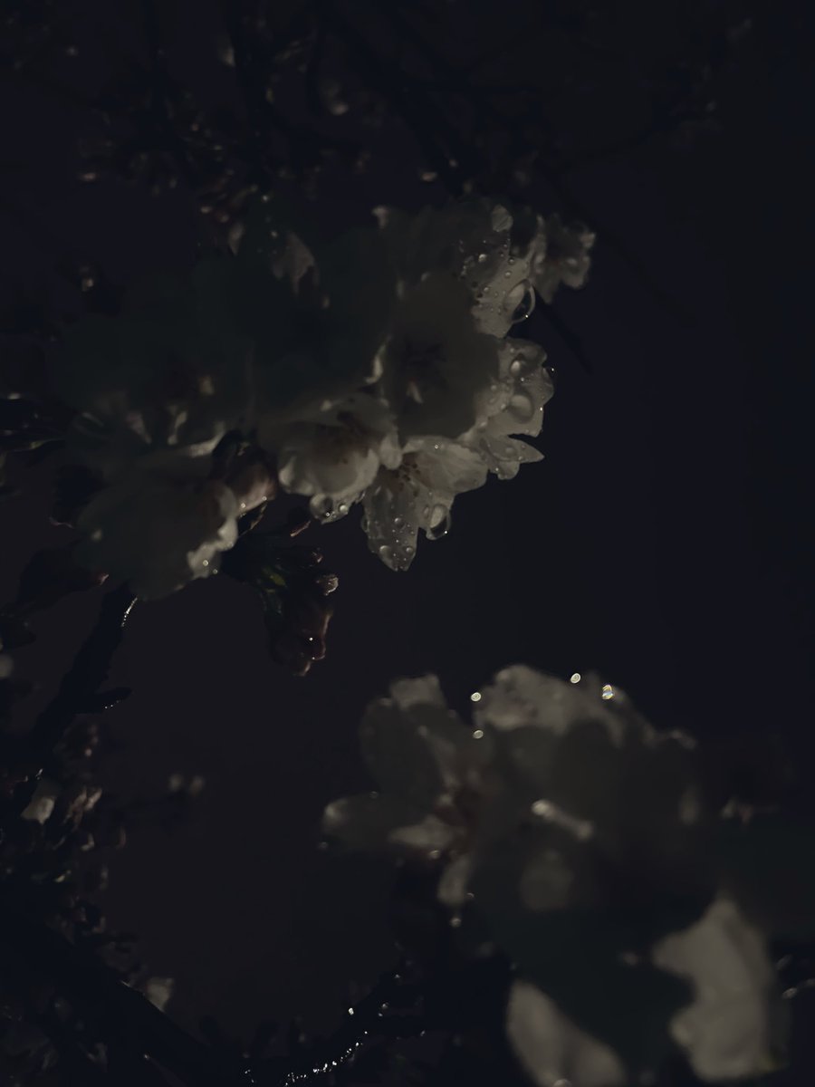2MiiiM2's tweet photo. 330 https://t.co/U8EFpHSuRv