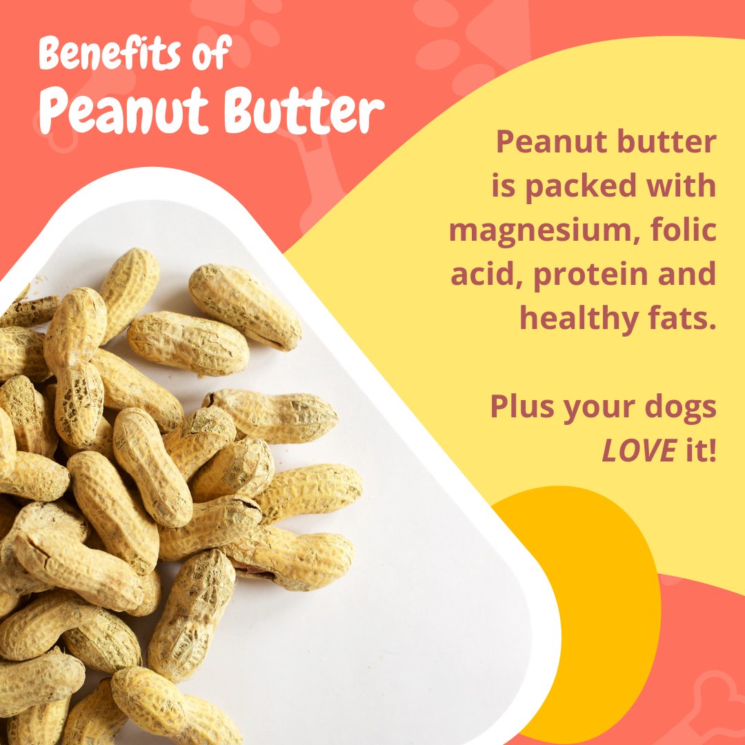 FetchDogTreats's tweet image. Excuse me while I watch TikTok videos of dogs eating peanut butter now... 

#GoFetchHappy #FetchDogTreats #PupsForPeanutButter #BenefitsOfPeanutButter #HappyDog #HealthyDog #GoodDoggo