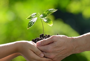 CajaIngenieros's tweet photo. ¡Morningstar Fund Awards 2021 ha premiado por segundo año consecutivo el CE Climate Sustainability ISR, PP como mejor plan de pensiones renta mixta! Es un honor para el Grupo Caja de Ingenieros haber conseguido un año más este reconocimiento. https://t.co/MqBgKnKnPs https://t.co/gYSsuepCbW