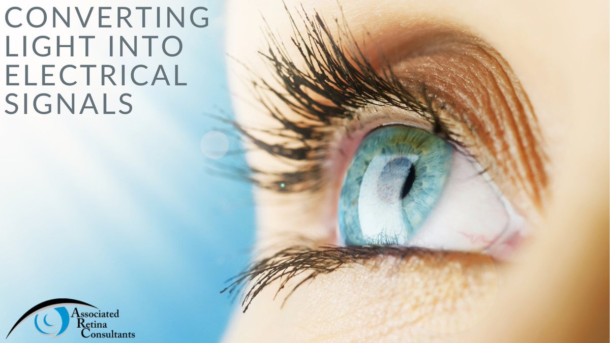 arc_phoenix's tweet photo. The retina is a complex organ. Its function is, simply put, to convert light (photons) into electrical signals that can be sent back to the brain to be processed further.

It's essential to keep it healthy. Schedule an eye exam at (602) 242-4928. https://t.co/jypva1GLac