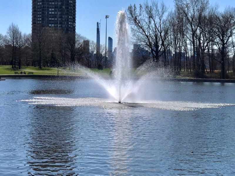 thepondandlake's tweet photo. The Aqua Master 5 HP Crown & Geyser Fountain in Braddock Park - one of Hudson Countyโs finest.
#pondscaping #pondmanagement #pondmaintenance #pondview #pondside #parkpond #braddockpark #hudsoncounty #hudsoncountynj #hudsoncountypark #hudsoncountynjliving #njparks https://t.co/wJwX3Yb8Kv