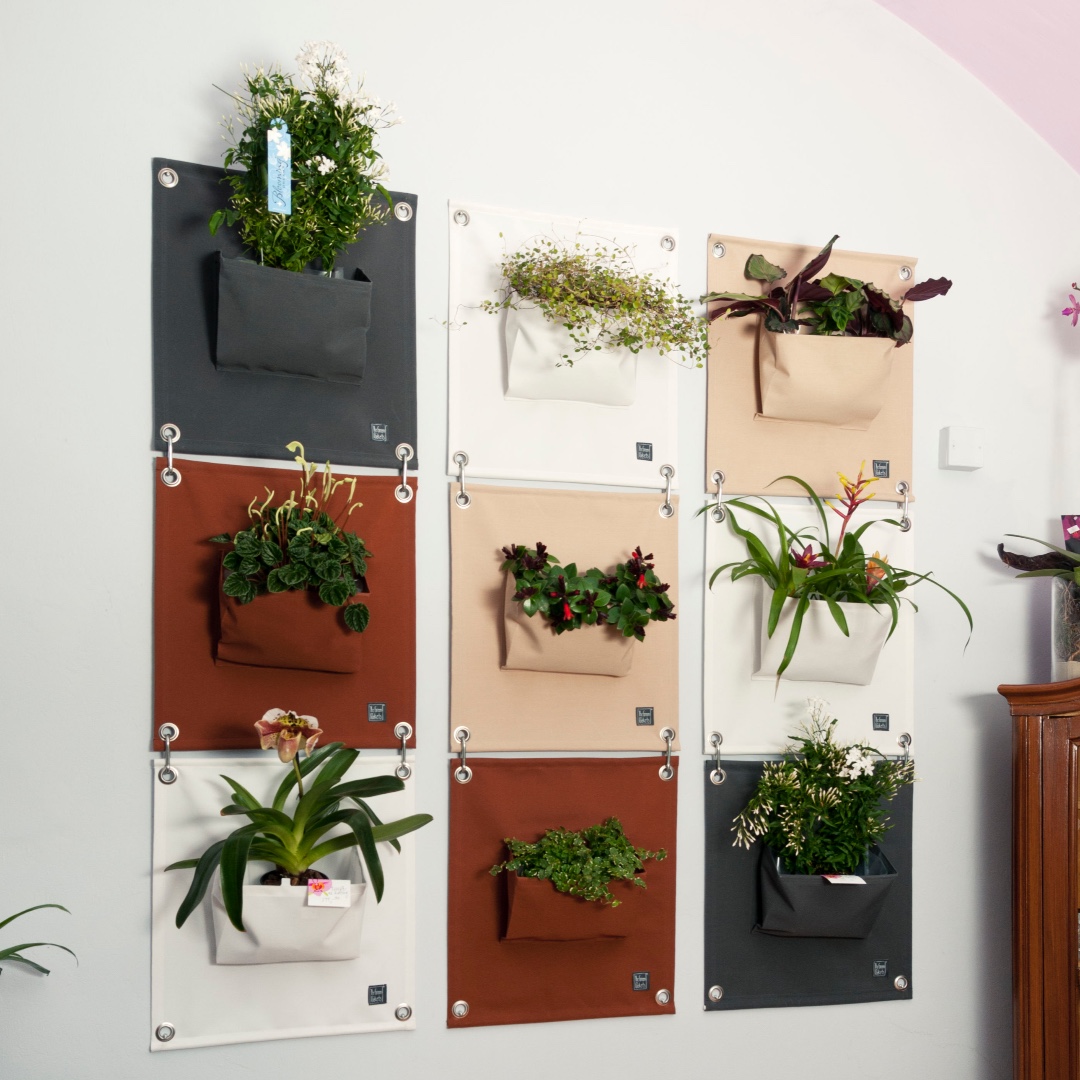 BloomingWalls's tweet photo. Don’t wait for someone to bring you flowers. Plant your own garden and decorate your own soul.🌿

#bloomingwalls #thegreenpockets #colors #lovely  #flowers #plants #greenthumb #greenfingers #homedecor #decorations #decorate#urbangardening #urbangarden #garden #greenthumb https://t.co/385puslsXR