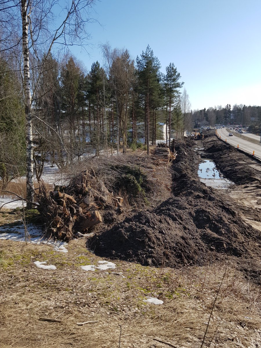 MarleenaIsomaa's tweet photo. #Joukko- ja #kevyenliikenteenväylien #rakentamisessa mennään välillä melko isoilla linjoilla. #Puita ja #metsää parturoidaan, paikoin alueen ainoat puut. Toki myöhemmin istutetaan uusia taimia sinne tänne. Voisiko vihreän siirtymän tehdä vielä vihreämmin 🌱🌲🌳🐿🦇🐦? https://t.co/BhgRWWRwzQ