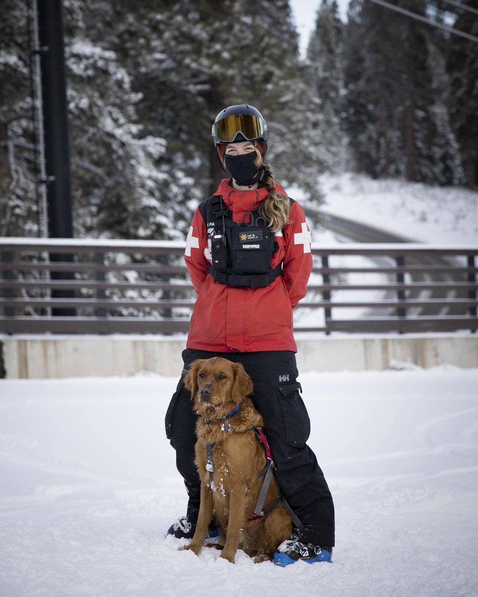 NSAA_org's tweet photo. This is the final week to apply for Awards (Due Apr 1). Safety, marketing, conversion, sustainability- we want to recognize your accomplishments this season. Apply now at https://t.co/NmBNkrz4of! #mountaininspired
๐ท: We couldn't NOT share this #avydog shot from @Northstar_CA ๐ถ https://t.co/1YodzMNAc3