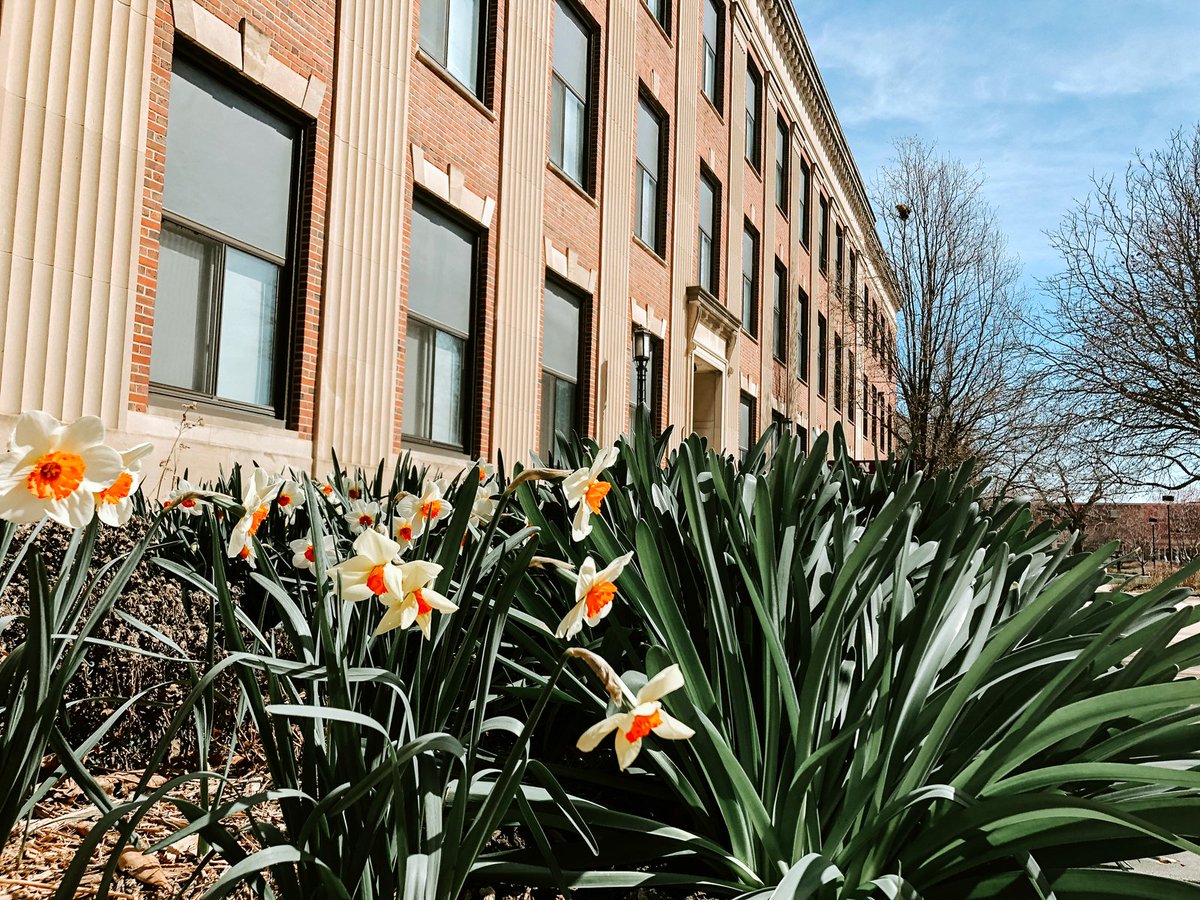 UNLincoln's tweet photo. It's starting to look like spring on campus 🌸 https://t.co/lpmt0wvZ9E