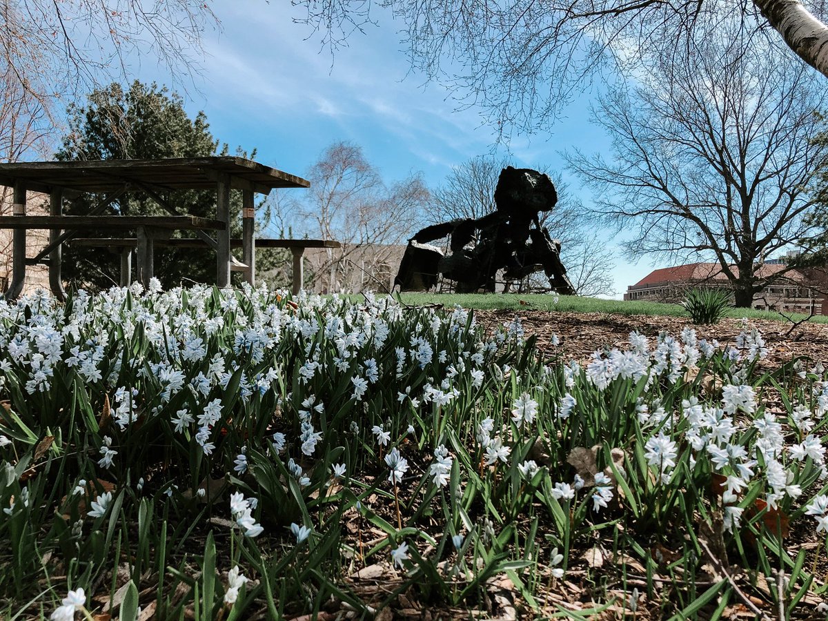 It's starting to look like spring on campus 🌸