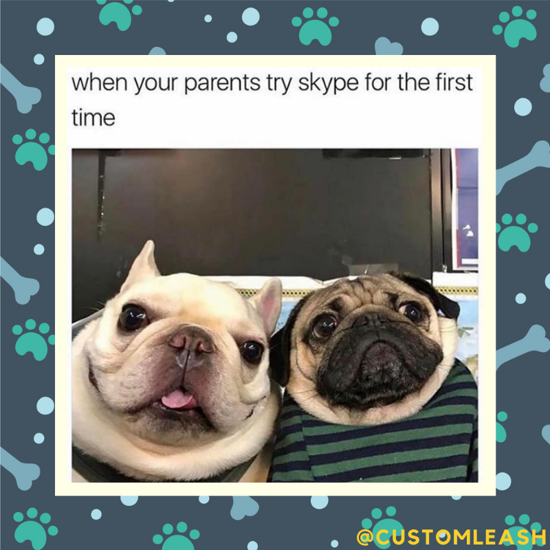 LeashCustom's tweet photo. Can you relate? We guess it already happen to you too, on Skype, Facetime, Messenger, are we right?
.
.
.
.
#puppylove #doglover #pets #mememonday #customleash #custom #products #smallbusinessproducts #retail #ecommerce #supportlocalbusiness #leash #dogproducts https://t.co/tgJvN54D5d