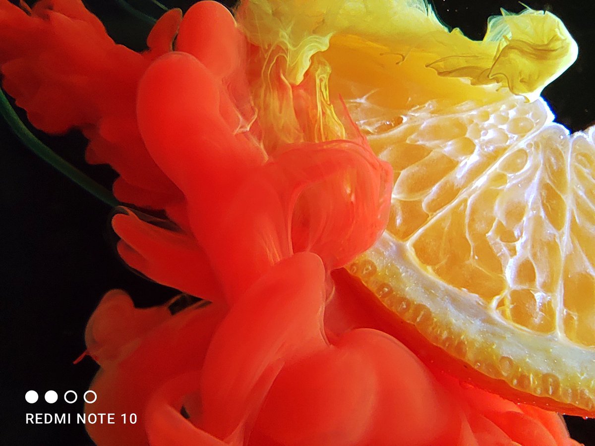 Xiaomi's tweet photo. Sometimes, we get curious about the micro world around us. The telemacro lens of the #RedmiNote10 lets you explore it.
#AMOLEDExplorer https://t.co/h6aLdXVxH1