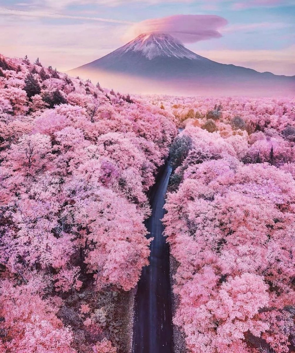 AffordableLux10's tweet photo. 📍 Mount Fuji, Japan 

Japan’s Mt. Fuji is an active volcano about 100 kilometers southwest of Tokyo. Commonly called “Fuji-san,” it’s the country’s tallest peak, at 3,776 meters!

#MountFuji #Japan https://t.co/UCRMhKtQmm