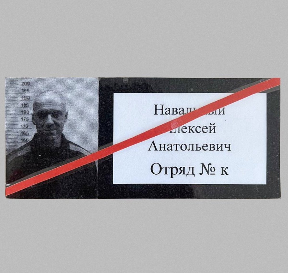 pevchikh's tweet photo. На этой фотографии на фоне линейки и в тюремное робе - не только Алексей Навальный. На ней все мы. 
 #свободунавальному #freenavalny
https://t.co/GTzBJY83TI https://t.co/v98Bhwmca3