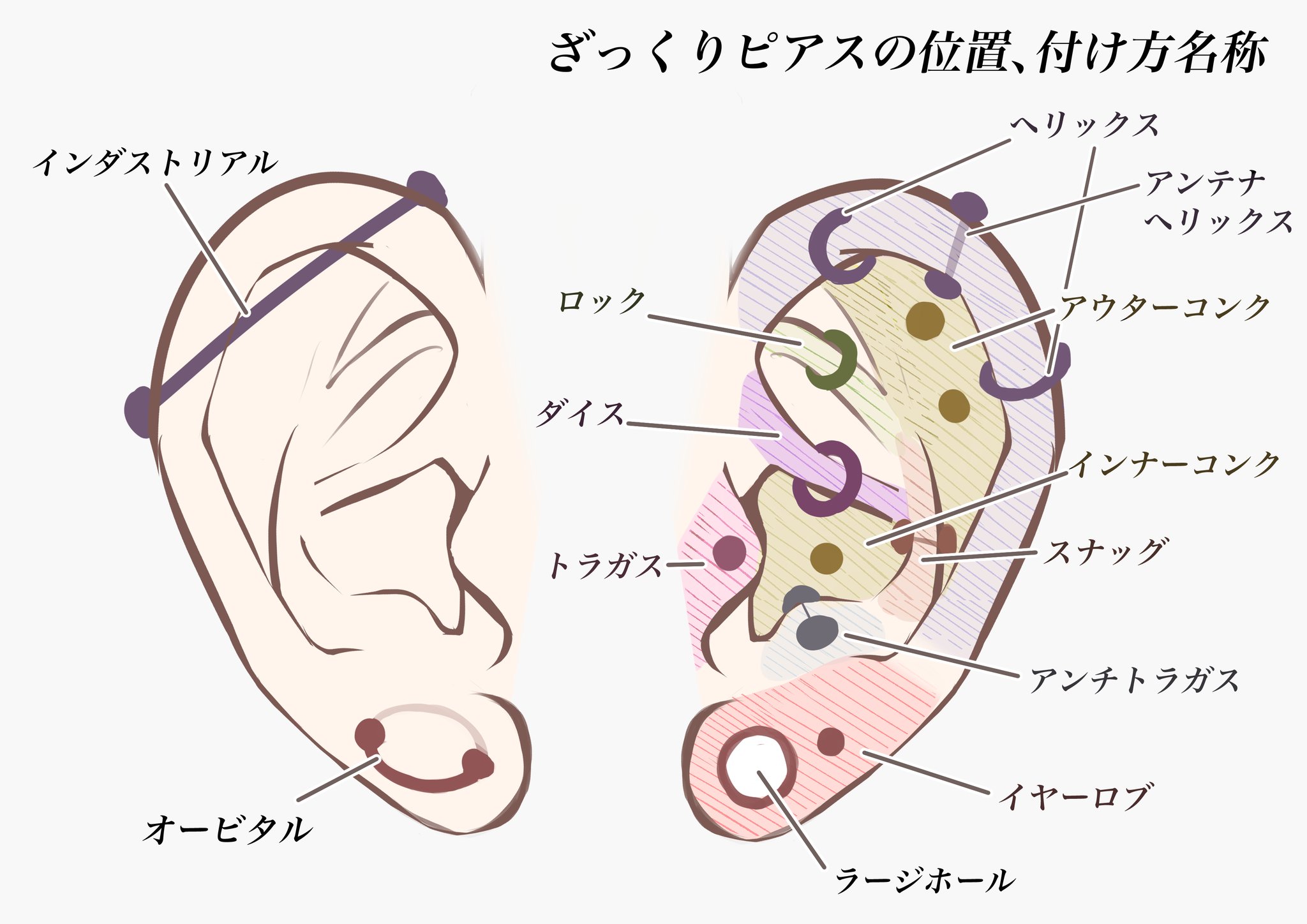 تويتر 煤湯 على تويتر 皆のお子さんのピアス事情を教えてほしいので名称纏めた 素人なのでミスあるかもゴメンよ T Co Wifdr8i9aq