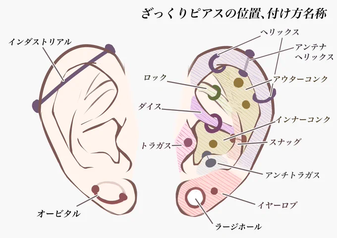 皆のお子さんのピアス事情を教えてほしいので名称纏めた💪
素人なのでミスあるかもゴメンよ… 