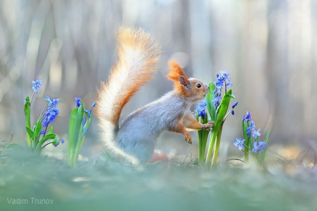 JeanetteEliz's tweet photo. It’s a brand new week, Happy Monday Everyone. 😊 I hope all of you have a wonderful day. Have a beautiful week ahead. 💞🌺💕 https://t.co/1dWU2jJOKC
