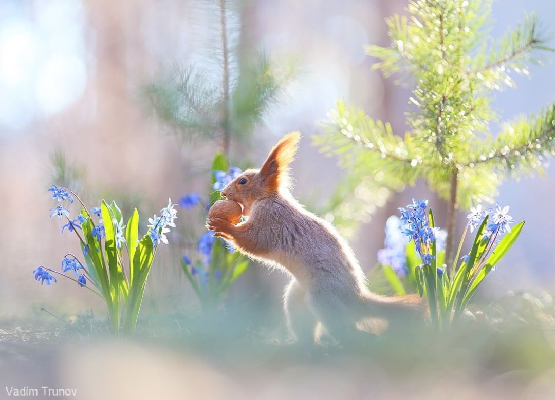 JeanetteEliz's tweet photo. It’s a brand new week, Happy Monday Everyone. 😊 I hope all of you have a wonderful day. Have a beautiful week ahead. 💞🌺💕 https://t.co/1dWU2jJOKC