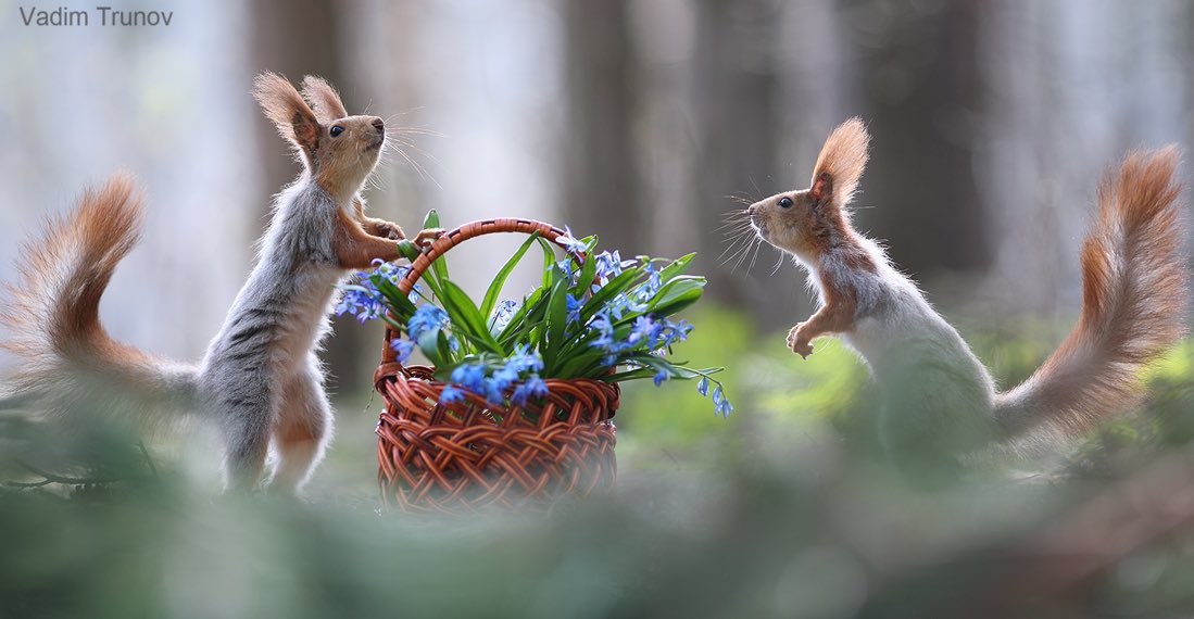 JeanetteEliz's tweet photo. It’s a brand new week, Happy Monday Everyone. 😊 I hope all of you have a wonderful day. Have a beautiful week ahead. 💞🌺💕 https://t.co/1dWU2jJOKC
