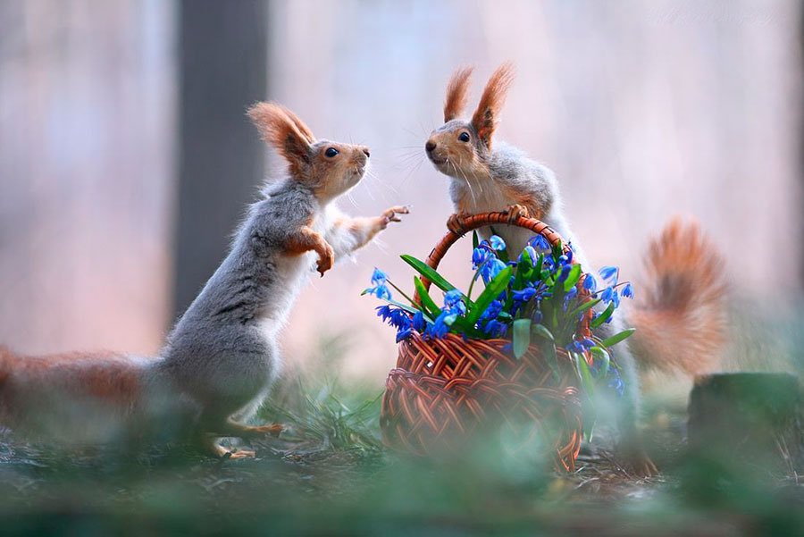 JeanetteEliz's tweet photo. It’s a brand new week, Happy Monday Everyone. 😊 I hope all of you have a wonderful day. Have a beautiful week ahead. 💞🌺💕 https://t.co/1dWU2jJOKC